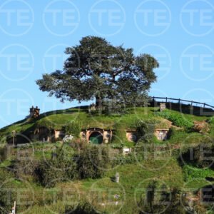 Beneath Green Hills