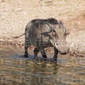 Cooling Off