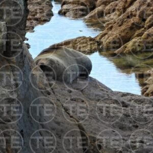 Quiet Cove
