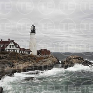 Standing Against the Tide