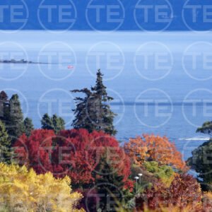 Colors Along the Water