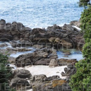 Rugged Coastline