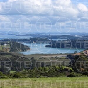 New Zealand Dreamscape