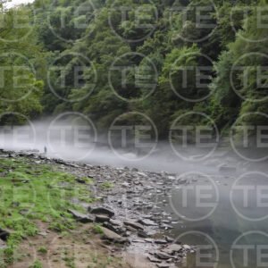 Casting into The Mist