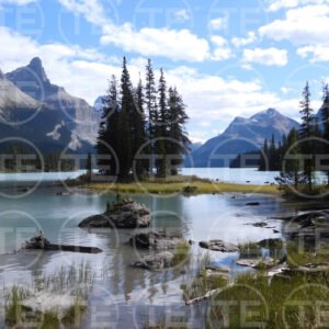 Spirit Island Serenity