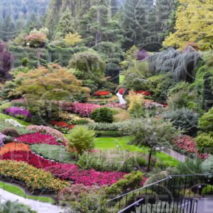Where Garden Paths Lead