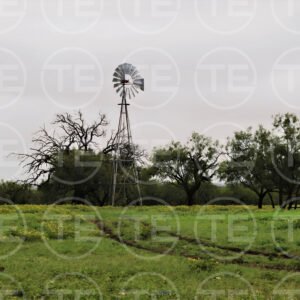 Beneath Texas Skies