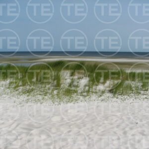 Sea Grass & Sand
